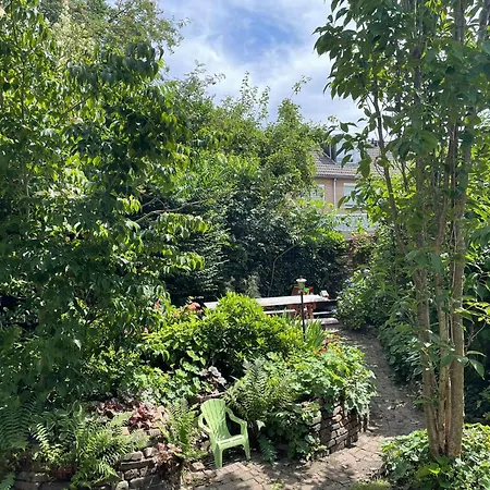 Fijn Gezinshuis Om Te Vieren Vakantiehuis