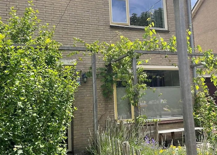 Fijn Gezinshuis Om Te Vieren Feriehus