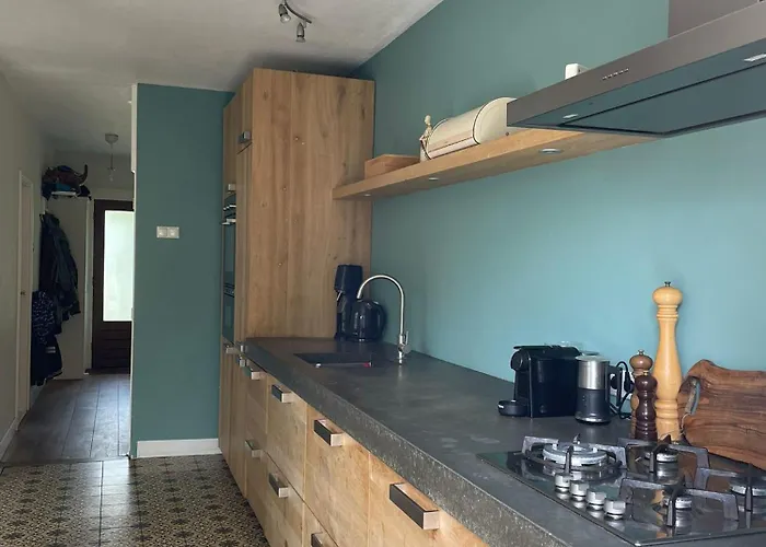 Feriehus Fijn Gezinshuis Om Te Vieren